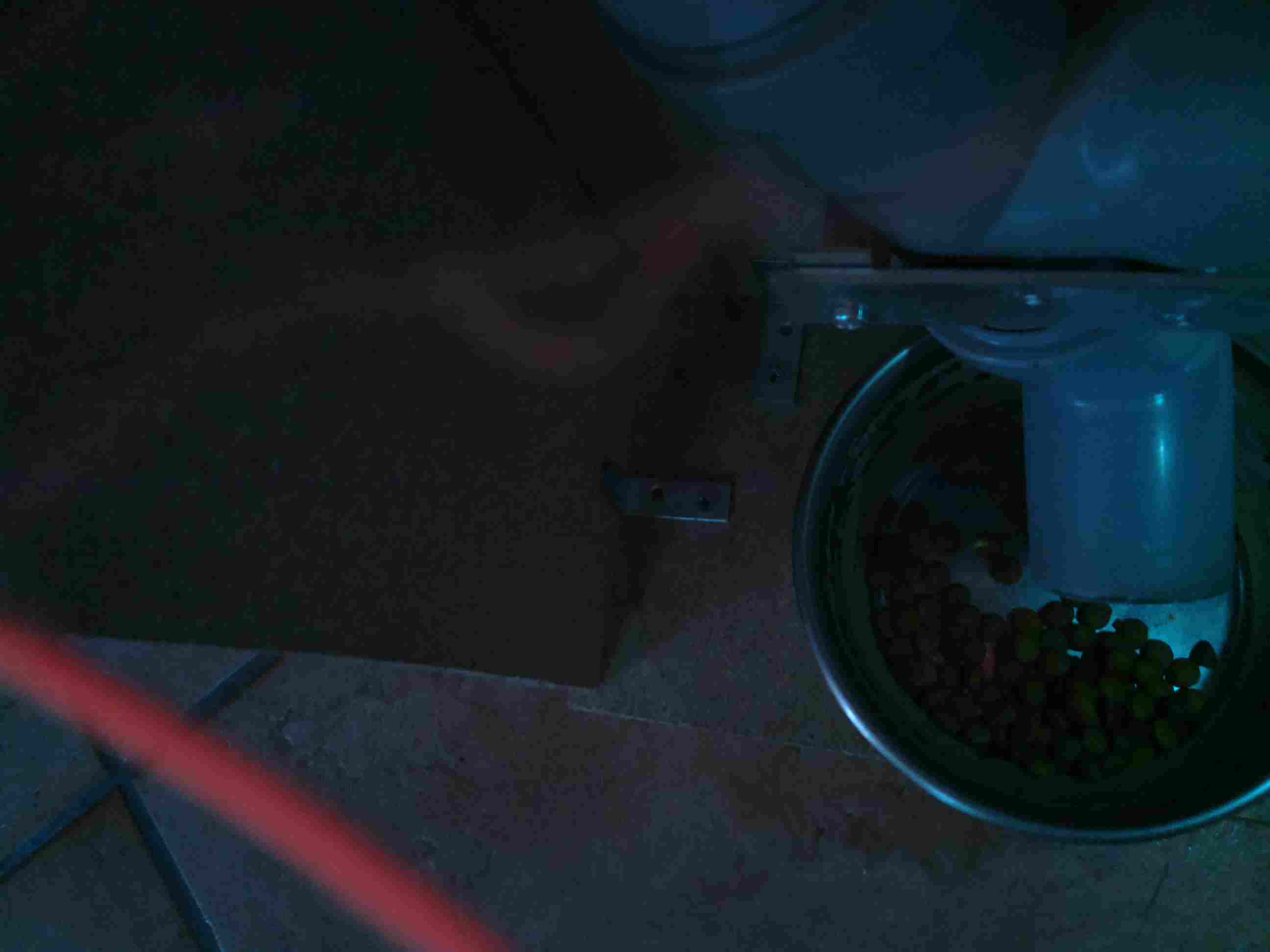 Last Catfeed shot